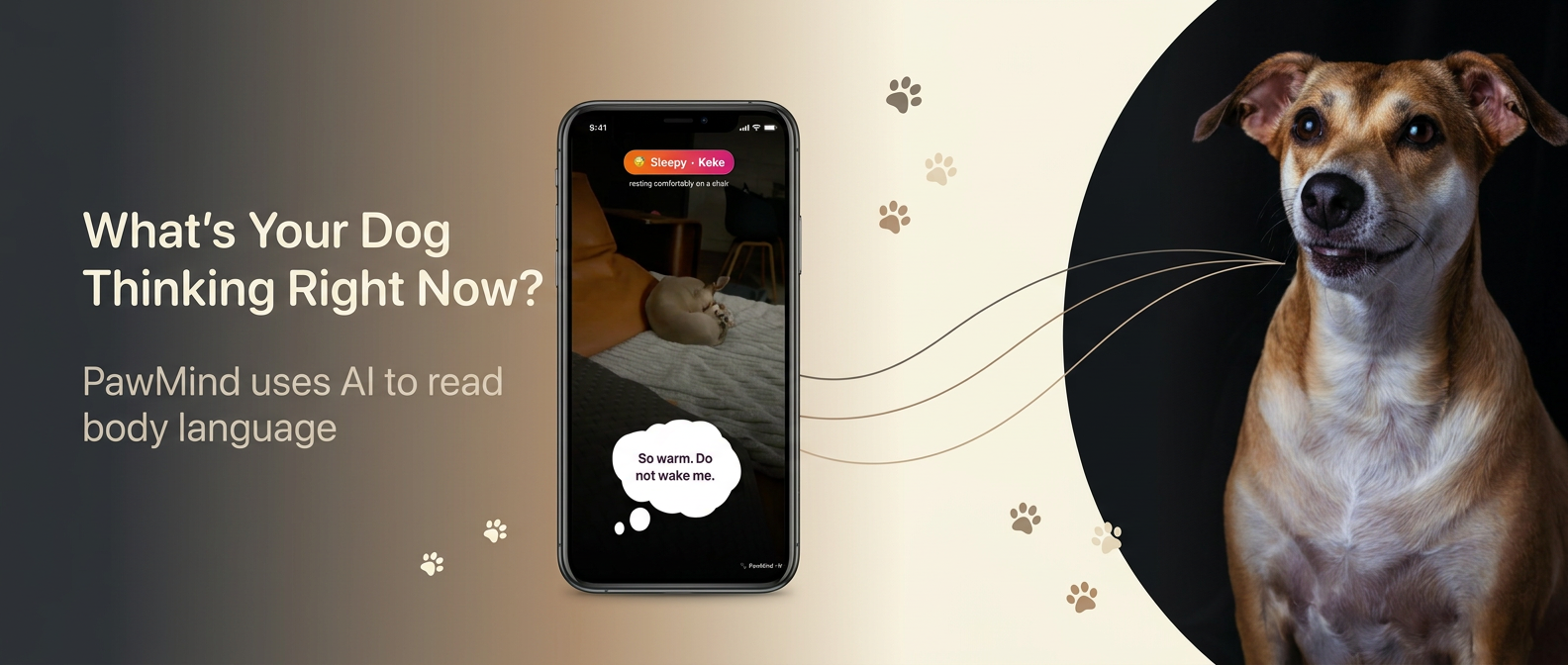 PawMind poster 2 thumbnail