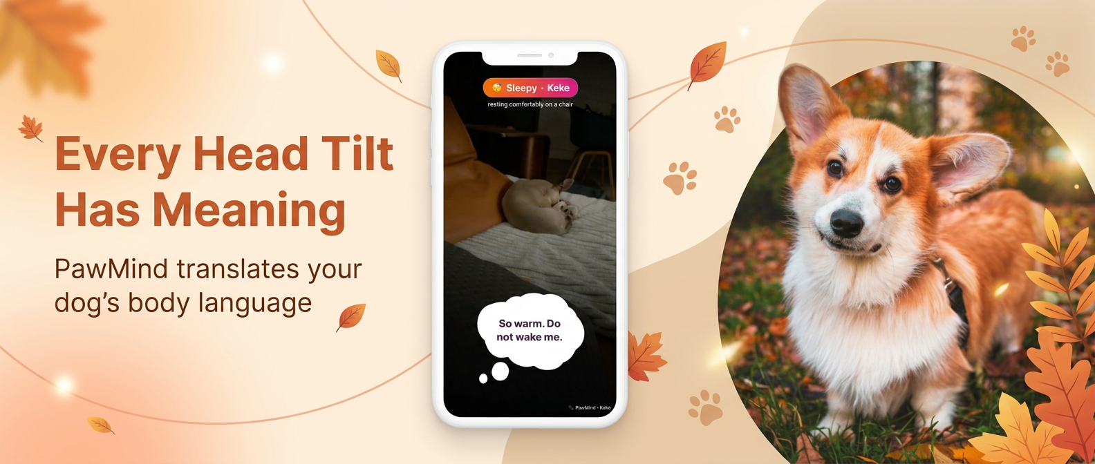PawMind poster 3 thumbnail